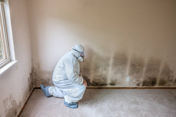 Best Residential Mold Inspection & Testing  in Mechanicsville, VA